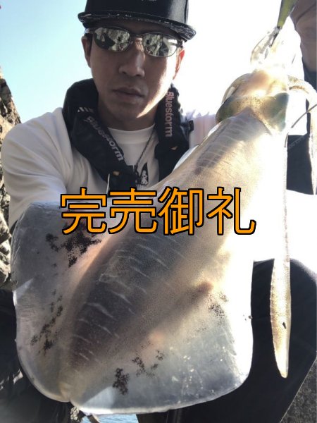 画像2: WILD CHASE 3.5号 いけるでレッド[特注:87works] (2)