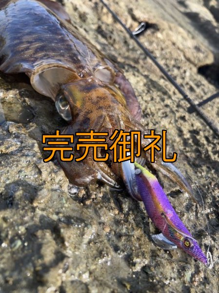 画像2: WILD CHASE 3.5号ほなけんパープル[特注:87works] (2)