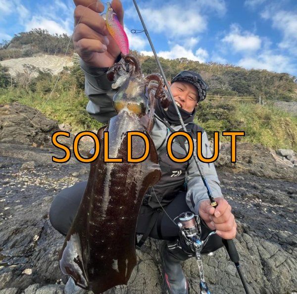 画像4: ★送料無料★エギマニ完全オリジナル3D刺繍スナップバックフラットCAPデザインII【ツバ裏プリント有】 (4)