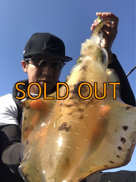 画像7: ★送料無料★エギマニ完全オリジナルスナップ シャドー刺繍 バックフラットCAPデザイン【ツバ裏プリント有】 (7)