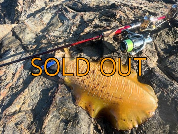 画像2: 新商品 LESTER HOPE L808 T&A西本晃生氏完全監修 AKIO Styleステッカー付き (2)