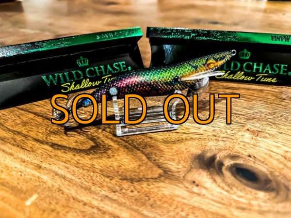 画像2: WILDCHASE 3.5号シャローtune / モンスターブラック[特注:EGI MANIACS] (2)