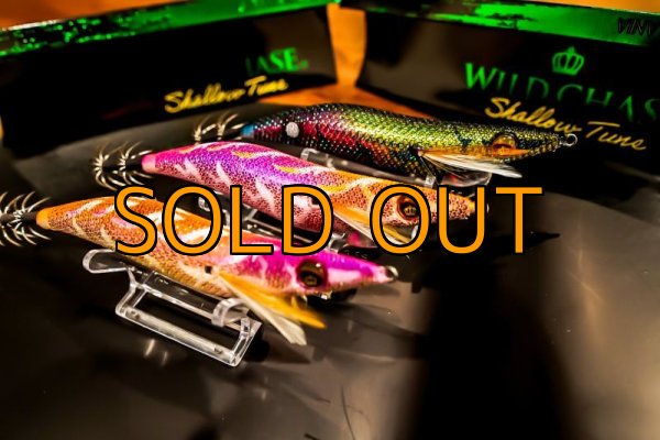 画像4: WILDCHASE 3.5号シャローtune / モンスターピンク[特注:EGI MANIACS] (4)