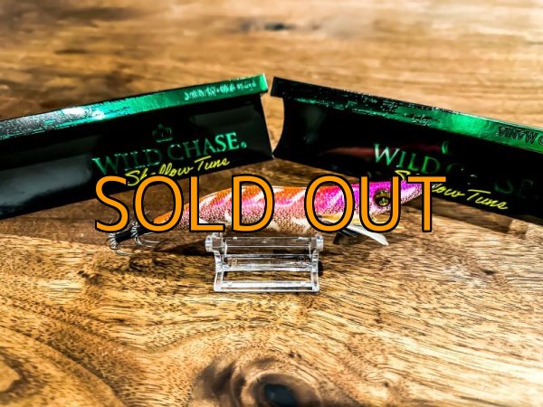 画像4: WILDCHASE 3.5号シャローtune / モンスターオレンジ[特注:EGI MANIACS] (4)