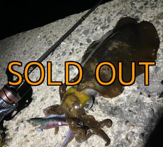 アニマルアイス♡３set AZONE INTERNATIONAL::えっくす☆きゅーと::商品詳細