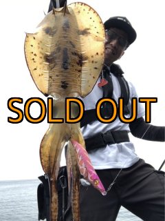 WILDCHASE 3.5号シャローtune / アイスブレイカー(UV) [EDEN WORKS特注 WILDCHASE 3.5号シャローtune / アイスブレイカー(UV) [EDEN WORKS特注