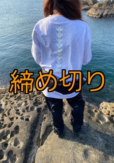 エギマニアパレル - EGI MANIACS (Page 1)