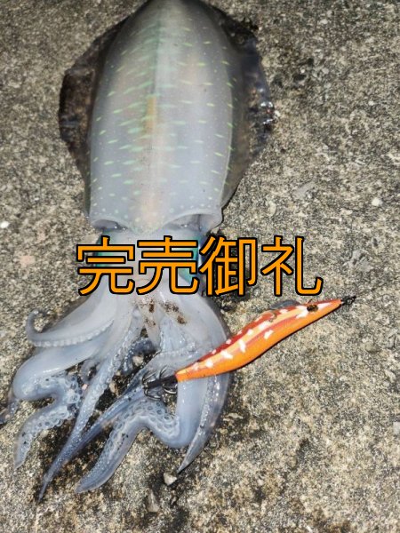 画像17: WILDCHASE 3.0号RTラトル / 斑赤龍/RED GLOW搭載[特注:EGI MANIACS] (17)