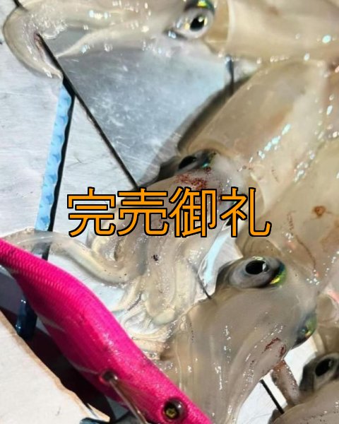 画像14: WILDCHASE 2.5号イカメタル＆オモリグ特化/BONE series[特注:EGI MANIACS]  (14)