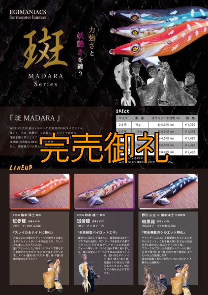 画像20: WILDCHASE 3.0号RTラトル / 斑赤龍/RED GLOW搭載[特注:EGI MANIACS] (20)