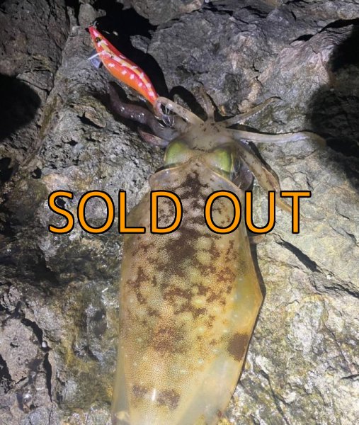 画像15: WILDCHASE 3.5号 / 斑赤龍/RED GLOW搭載[特注:EGI MANIACS] (15)