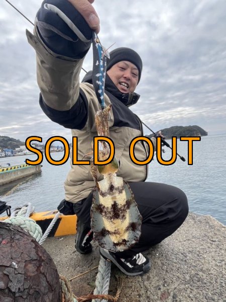 画像12: WILDCHASE 3.5号/ 斑黒龍/RED GLOW搭載[特注:EGI MANIACS] (12)