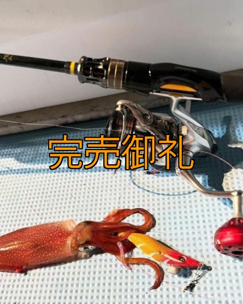 画像13: WILDCHASE 2.5号イカメタル＆オモリグ特化/BONE series[特注:EGI MANIACS]  (13)