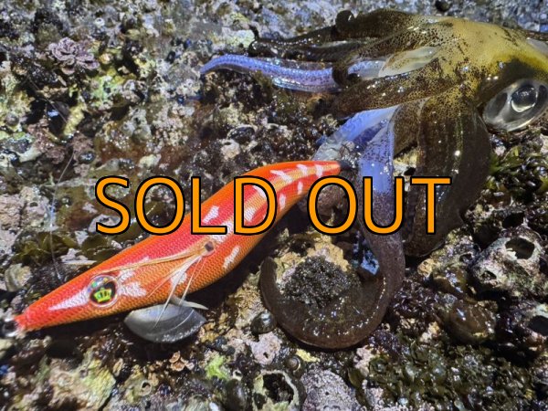 画像14: WILDCHASE 3.5号 / 斑赤龍/RED GLOW搭載[特注:EGI MANIACS] (14)