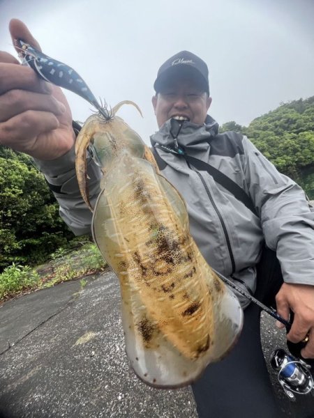 画像10: WILDCHASE 3.5号/ 斑黒龍/RED GLOW搭載[特注:EGI MANIACS] (10)