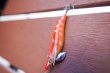 画像8: WILDCHASE 3.0号 / 斑赤龍/RED GLOW搭載[特注:EGI MANIACS] (8)