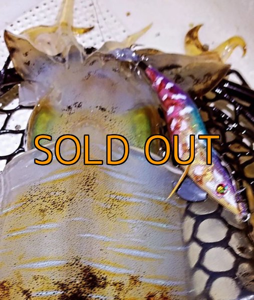 画像6: WILDCHASE 3.5号/ 斑紫龍[特注:EGI MANIACS] (6)