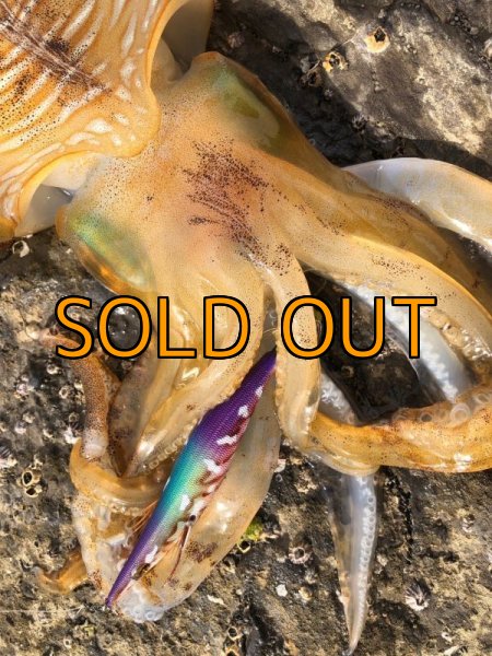 画像4: WILDCHASE 3.5号/ 斑紫龍[特注:EGI MANIACS] (4)