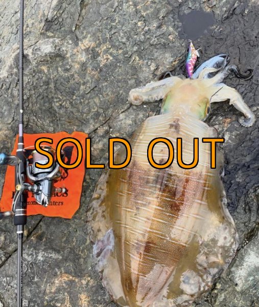 画像5: WILDCHASE 3.5号/ 斑紫龍[特注:EGI MANIACS] (5)