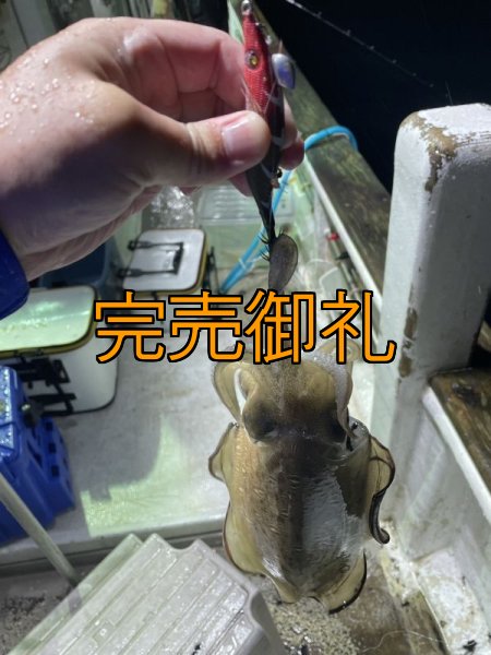 画像6: WILDCHASE 2.5号イカメタル＆オモリグ特化/BONE series[特注:EGI MANIACS]  (6)