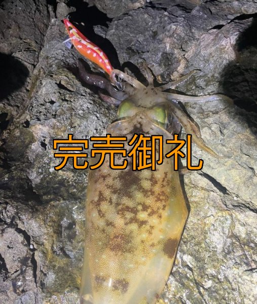 画像11: WILDCHASE 3.0号RTラトル / 斑赤龍/RED GLOW搭載[特注:EGI MANIACS] (11)