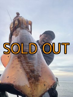 全商品 - EGI MANIACS