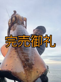 WILD CHASE 特注 - 大阪エギングショップ EGI MANIACS (Page 1)