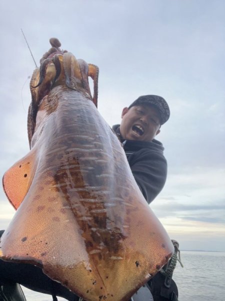 画像4: WILDCHASE 3.5号/ 斑黒龍/RED GLOW搭載[特注:EGI MANIACS] (4)