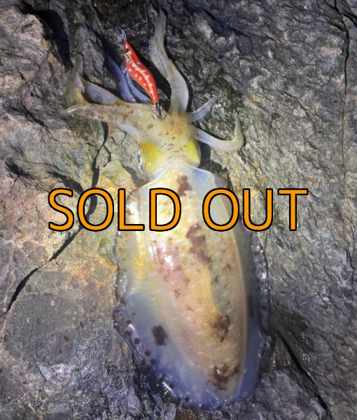 画像10: WILDCHASE 3.5号 / 斑赤龍/RED GLOW搭載[特注:EGI MANIACS] (10)