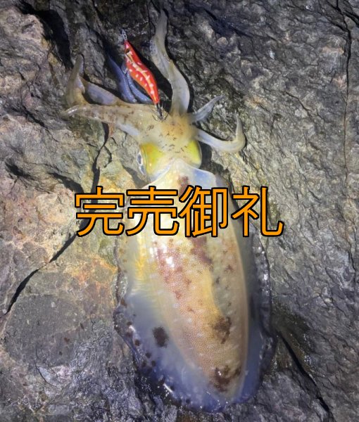 画像12: WILDCHASE 3.0号RTラトル / 斑赤龍/RED GLOW搭載[特注:EGI MANIACS] (12)