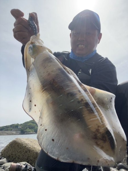 画像8: WILDCHASE 3.5号/ 斑黒龍/RED GLOW搭載[特注:EGI MANIACS] (8)