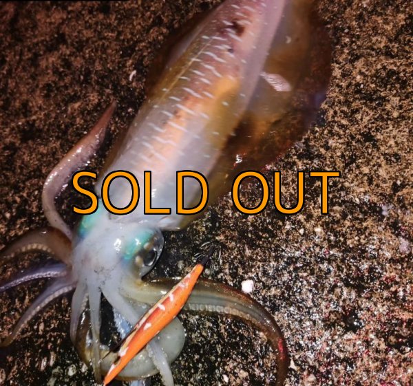 画像11: WILDCHASE 3.5号 / 斑赤龍/RED GLOW搭載[特注:EGI MANIACS] (11)