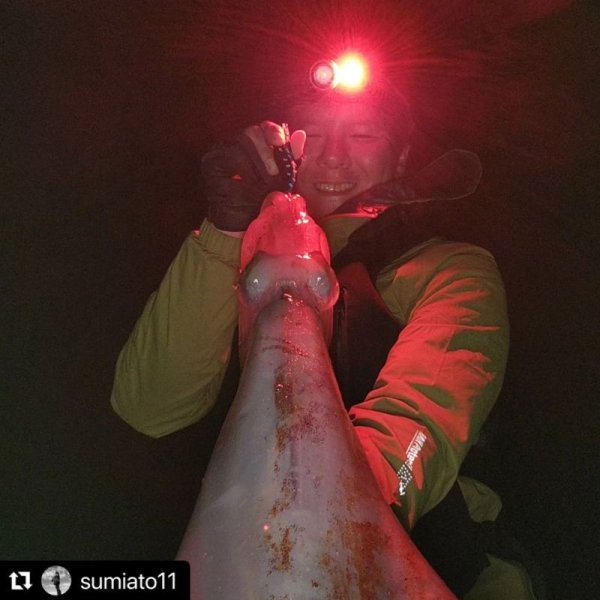 画像6: WILDCHASE 3.5号/ 斑黒龍/RED GLOW搭載[特注:EGI MANIACS] (6)