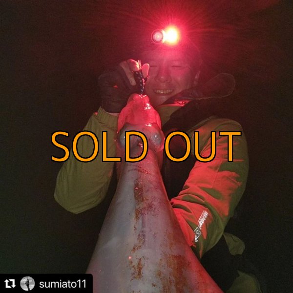 画像7: WILDCHASE 3.5号/ 斑黒龍/RED GLOW搭載[特注:EGI MANIACS] (7)