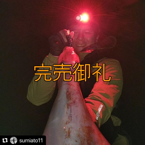 画像7: WILDCHASE 3.0号RTラトル/ 斑黒龍/RED GLOW搭載[特注:EGI MANIACS] (7)