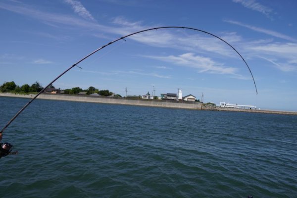 画像3: 『魅黒』ZERO-G EVOLUTION GVX 800 村正-改 ロッドベルト付き [別注EGI MANIACS] (3)