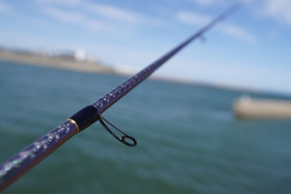 画像5: 『魅黒』ZERO-G EVOLUTION GVX 800 村正-改 ロッドベルト付き [別注EGI MANIACS] (5)