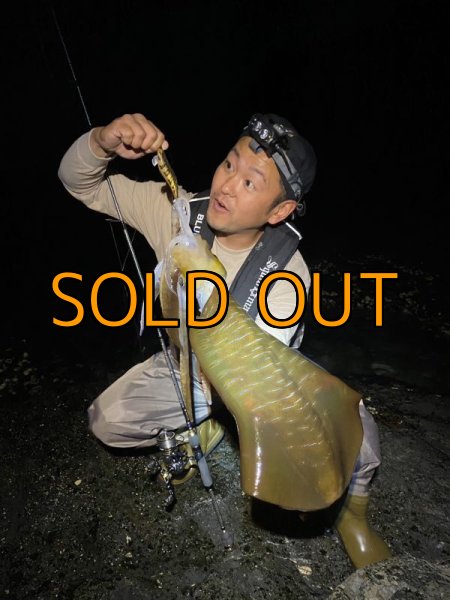 画像9: WILDCHASE 3.5号 /俺のGOLDパイソン/[特注:EGI MANIACS] (9)