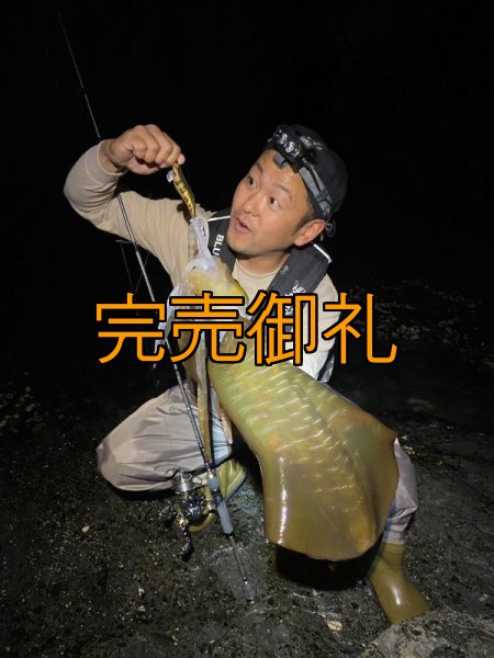 画像4: WILDCHASE 3.5号シャローtune /俺のGOLDパイソン/[特注:EGI MANIACS] (4)