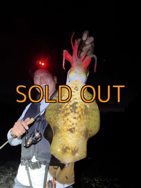 画像12: WILDCHASE 3.5号 /俺のGOLDパイソン/[特注:EGI MANIACS] (12)