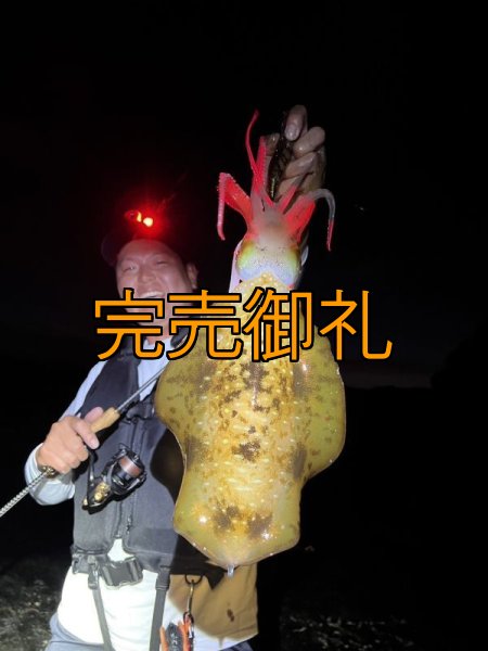 画像8: WILDCHASE 3.5号シャローtune /俺のGOLDパイソン/[特注:EGI MANIACS] (8)