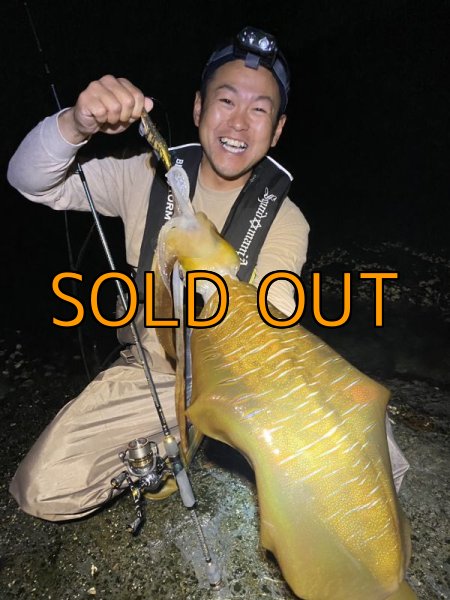 画像6: WILDCHASE 3.5号 /俺のGOLDパイソン/[特注:EGI MANIACS] (6)