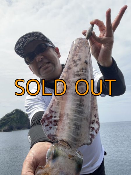 画像2: WILDCHASE 3.5号 /俺のGOLDパイソン/[特注:EGI MANIACS] (2)