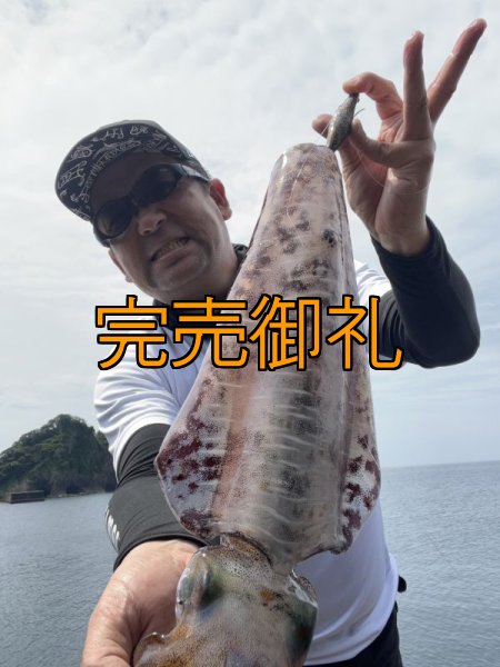 画像5: WILDCHASE 3.5号シャローtune /俺のGOLDパイソン/[特注:EGI MANIACS] (5)