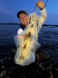 画像4: WILDCHASE 3.5号 /俺のGOLDパイソン/[特注:EGI MANIACS] (4)