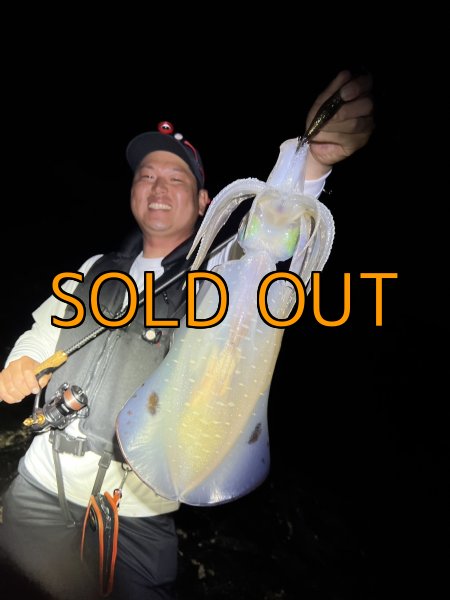 画像11: WILDCHASE 3.5号 /俺のGOLDパイソン/[特注:EGI MANIACS] (11)