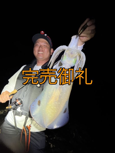 画像7: WILDCHASE 3.5号シャローtune /俺のGOLDパイソン/[特注:EGI MANIACS] (7)