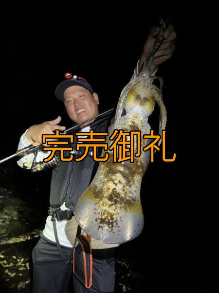 画像9: WILDCHASE 3.5号シャローtune /俺のGOLDパイソン/[特注:EGI MANIACS] (9)