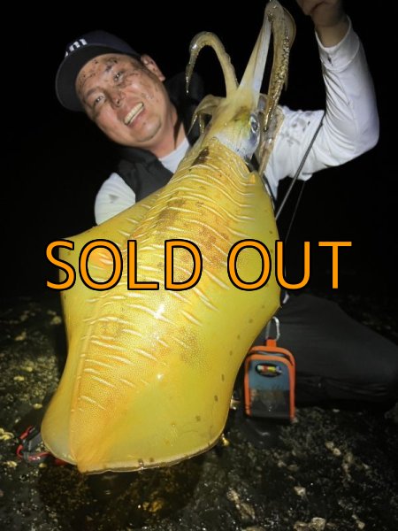 画像10: WILDCHASE 3.5号 /俺のGOLDパイソン/[特注:EGI MANIACS] (10)