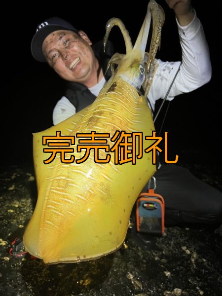 画像6: WILDCHASE 3.5号シャローtune /俺のGOLDパイソン/[特注:EGI MANIACS] (6)